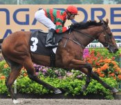 Super Easy<br>Photo by Singapore Turf Club